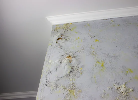 damaged-wall-with-peeling-paint-and-mold-2026-01-08-22-49-27-utc